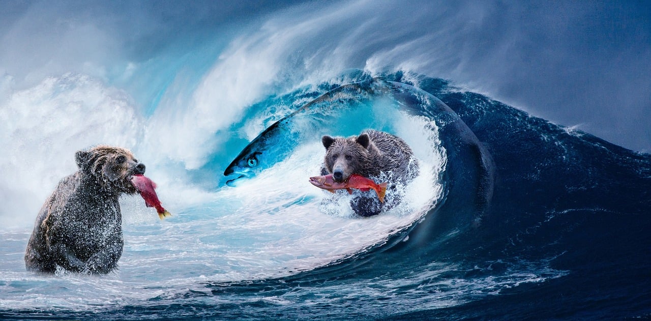 探索最新午夜魅力,奇幻与好看的午夜世界