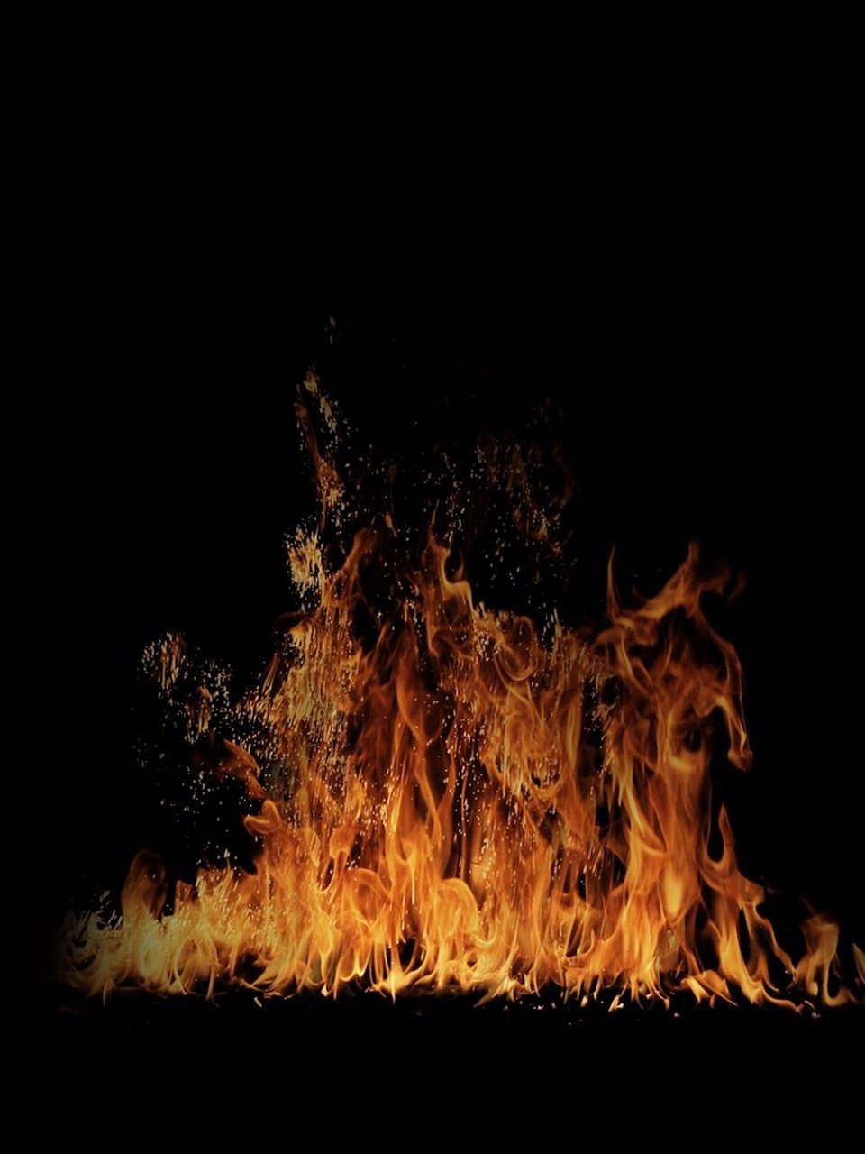 固执旳活在无知 第5页