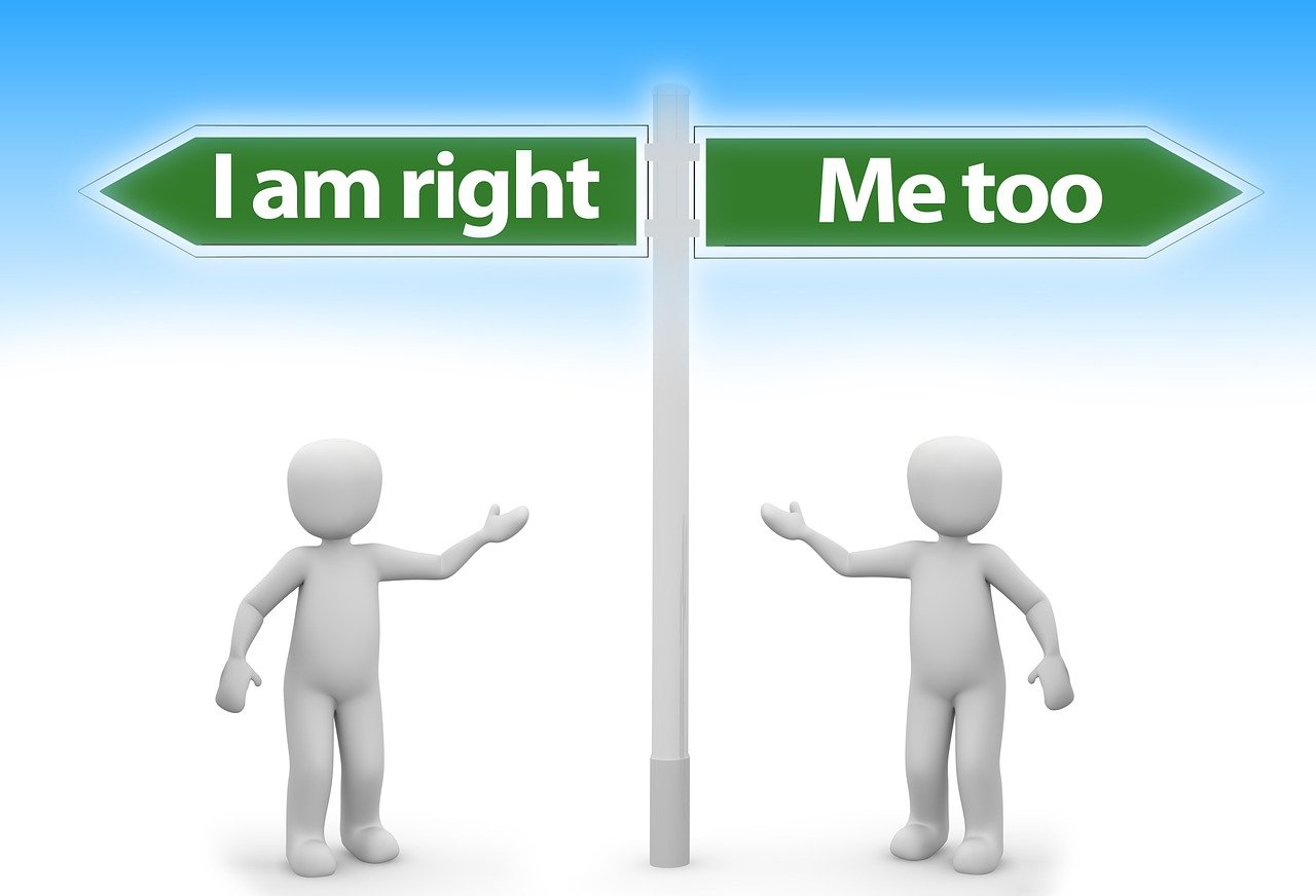 揭秘秦夫人四月最新资讯与动态,深度观察报道