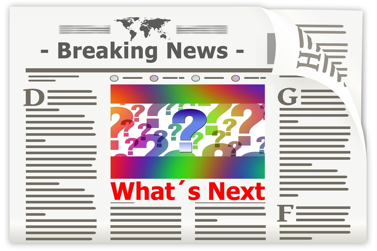 五月上海新注册企业信息概览